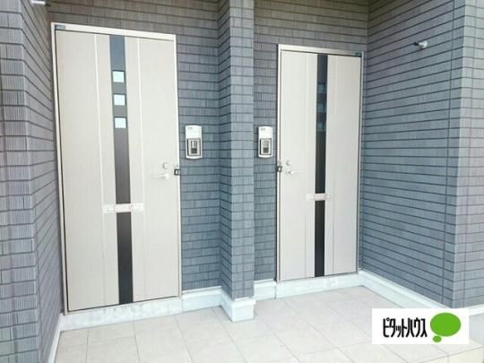 �y�����O�ρz�@�G���g�����X