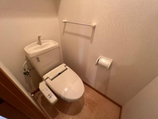 �y���̑��z�@�g�C��