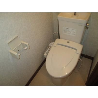 �y���̑��z�@�g�C��