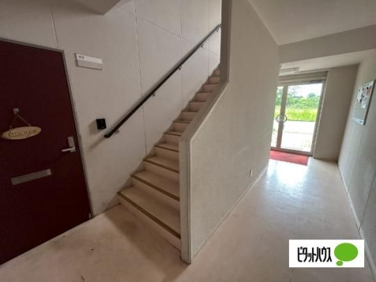 �y�����O�ρz�@���r�[