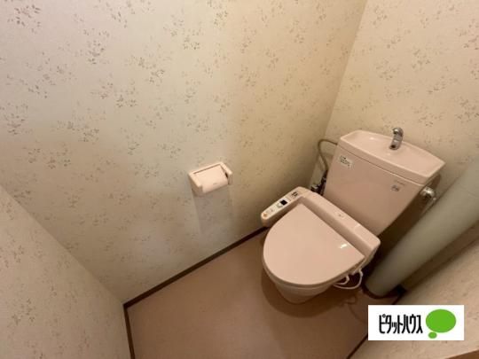 �y���̑��z�@�g�C��
