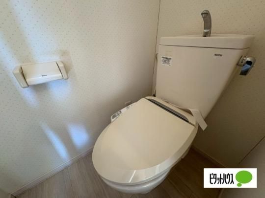 �y���̑��z�@�g�C��