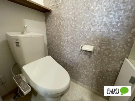 �y���̑��z�@�g�C��