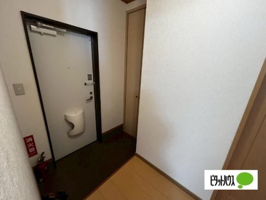�y���̑��z�@����
