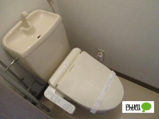 �y���̑��z�@�g�C��