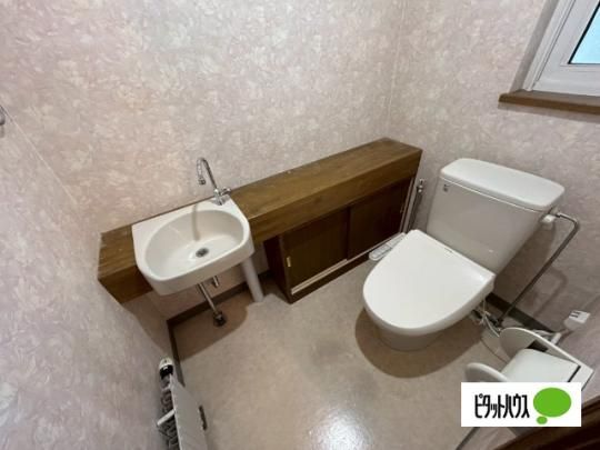 �y���̑��z�@�g�C��