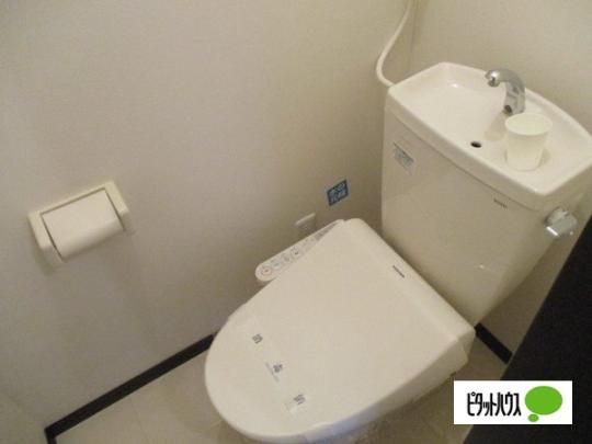 �y���̑��z�@�g�C��