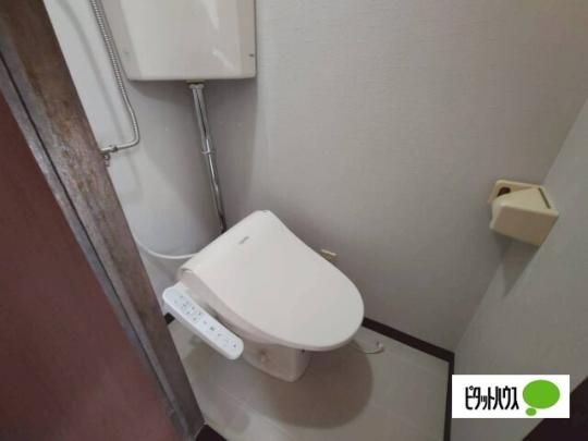 �y���̑��z�@�g�C��