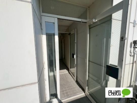 �y�����O�ρz�@�G���g�����X