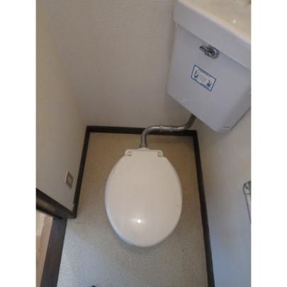 �y���̑��z�@�g�C��
