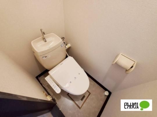 �y���̑��z�@�g�C��