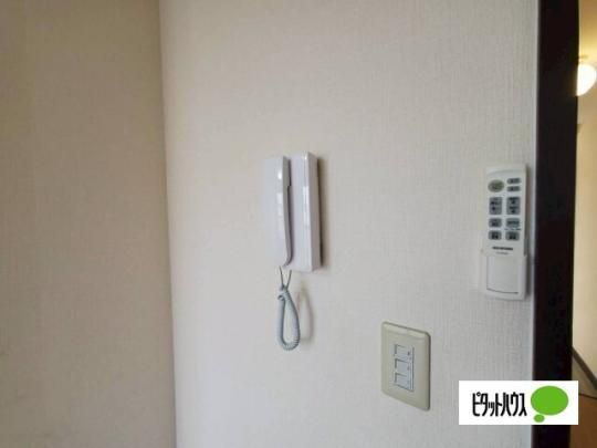 �y���̑��z�@�Z�L�����e�B
