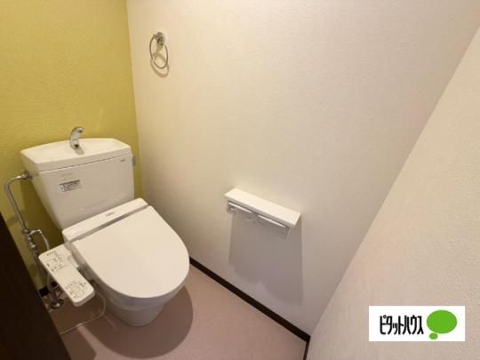 �y���̑��z�@�g�C��