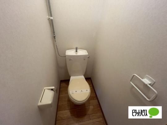 �y���̑��z�@�g�C��