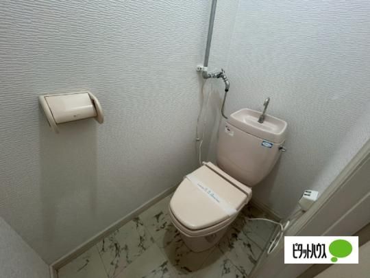 �y���̑��z�@�g�C��