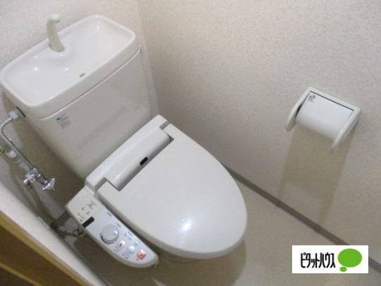 �y���̑��z�@�g�C��