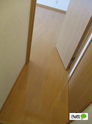 �y���̑��z�@����