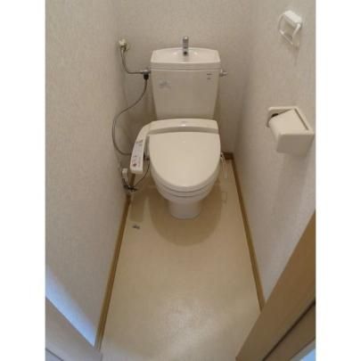 �y���̑��z�@�g�C��