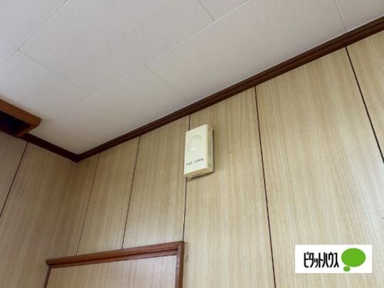 �y���̑��z�@�Z�L�����e�B