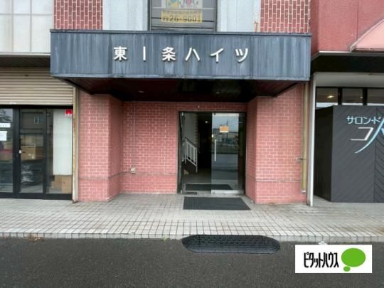 �y�����O�ρz�@�G���g�����X