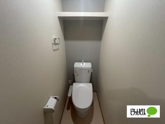 �y���̑��z�@�g�C��