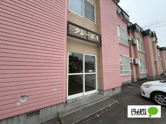 �y�����O�ρz�@�G���g�����X