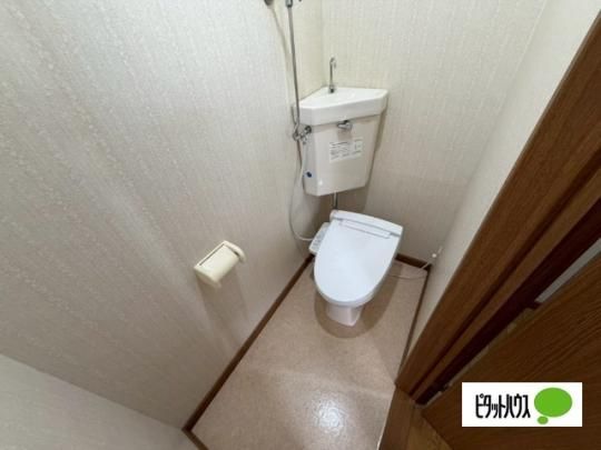 �y���̑��z�@�g�C��