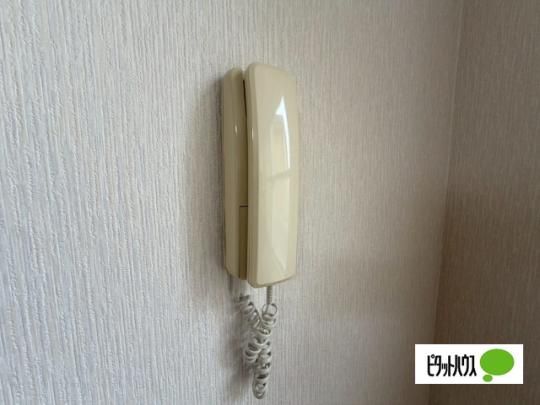 �y���̑��z�@�Z�L�����e�B