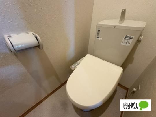 �y���̑��z�@�g�C��