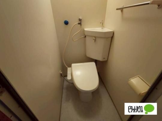 �y���̑��z�@�g�C��