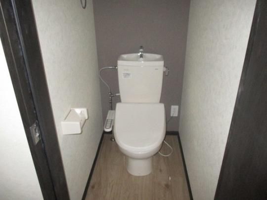 �y���̑��z�@�g�C��