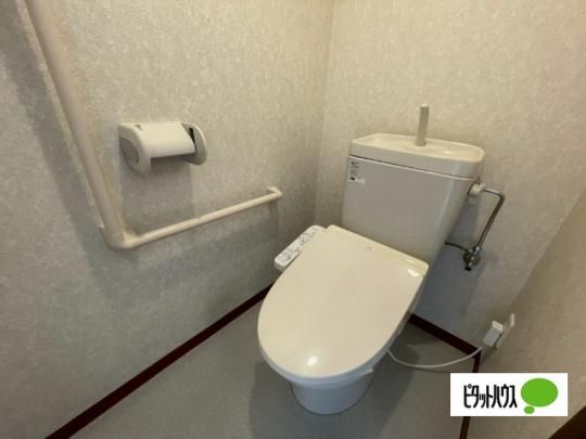 �y���̑��z�@�g�C��