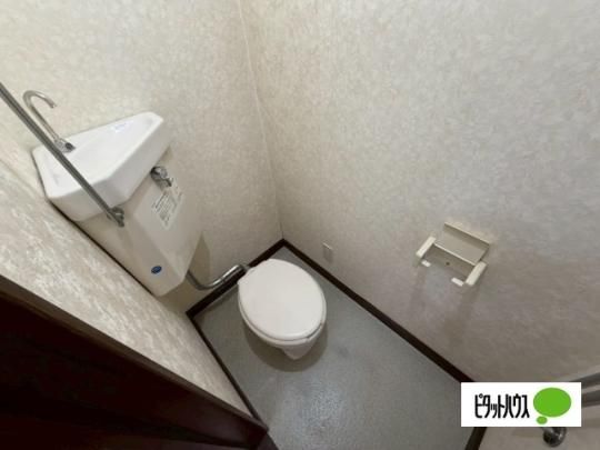 �y���̑��z�@�g�C��