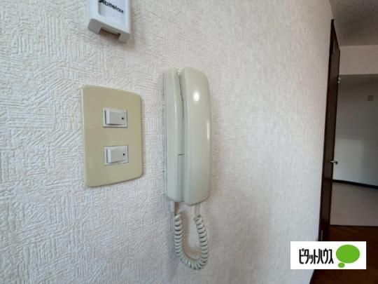 �y���̑��z�@�Z�L�����e�B