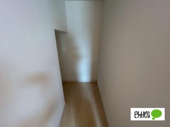 �y���̑��z�@���[