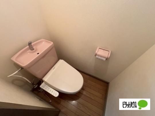 �y���̑��z�@�g�C��