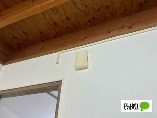 �y���̑��z�@�Z�L�����e�B