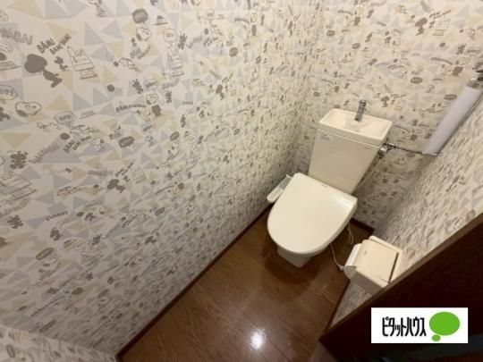 �y���̑��z�@�g�C��