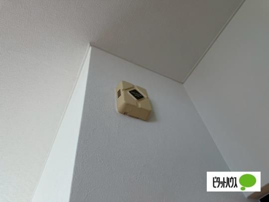 �y���̑��z�@�Z�L�����e�B