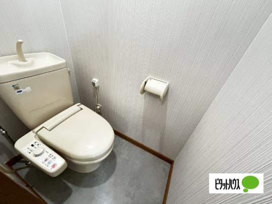 �y���̑��z�@�g�C��