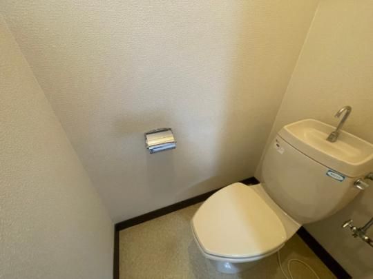 �y���̑��z�@�g�C��