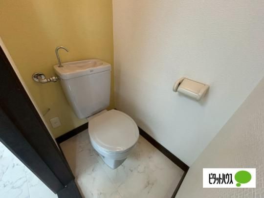 �y���̑��z�@�g�C��