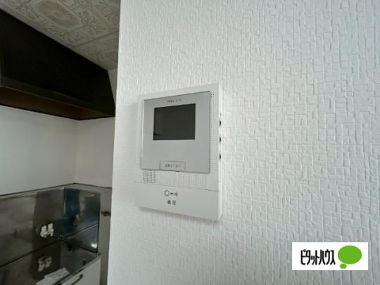 �y���̑��z�@�Z�L�����e�B