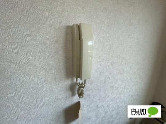 �y���̑��z�@�Z�L�����e�B