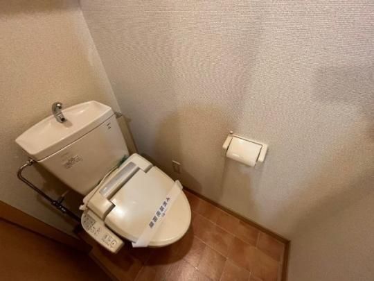 �y���̑��z�@�g�C��