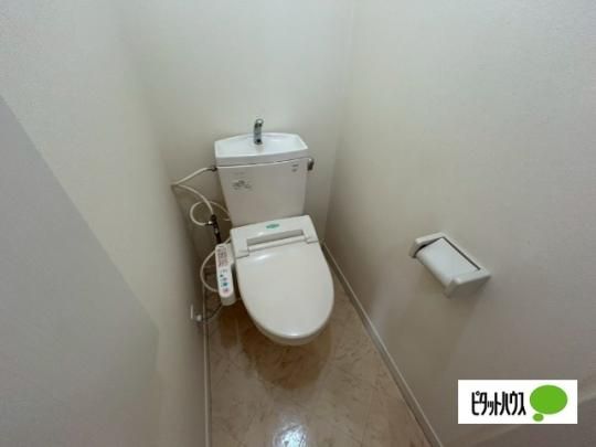 �y���̑��z�@�g�C��