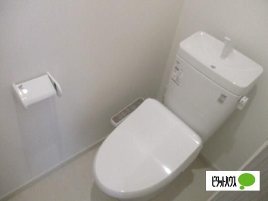 �y���̑��z�@�g�C��
