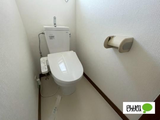 �y���̑��z�@�g�C��