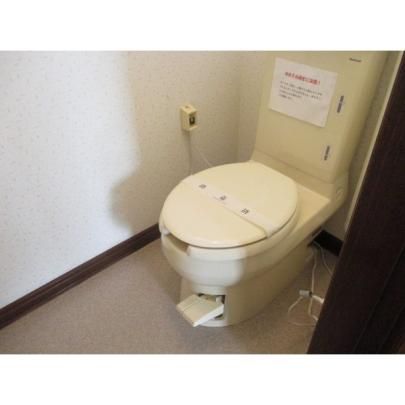 �y���̑��z�@�g�C��