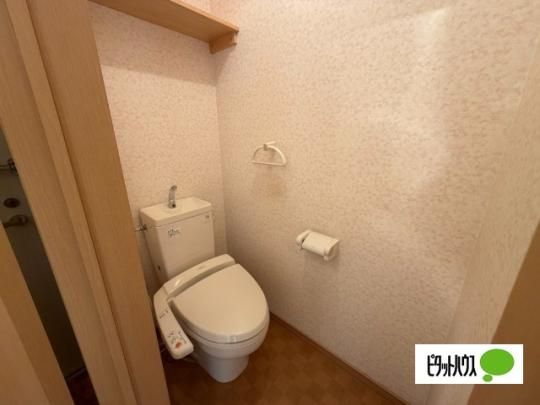 �y���̑��z�@�g�C��